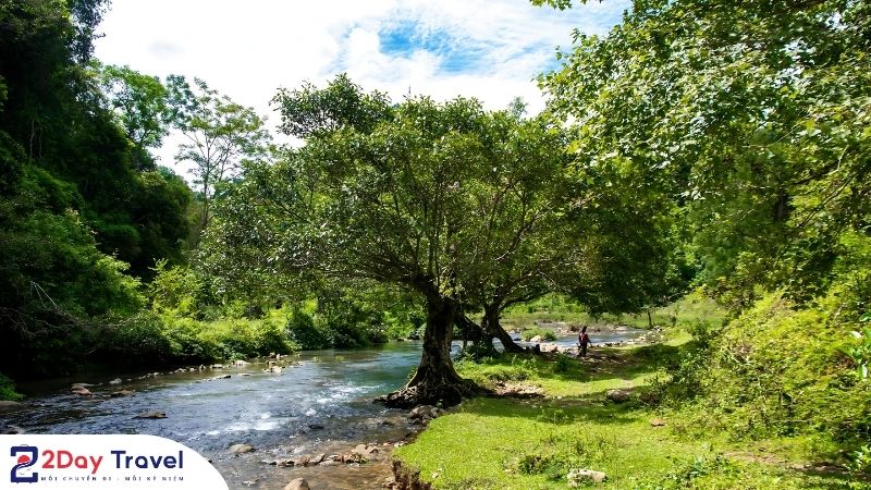Cảnh quan thiên nhiên xung quanh dòng suối