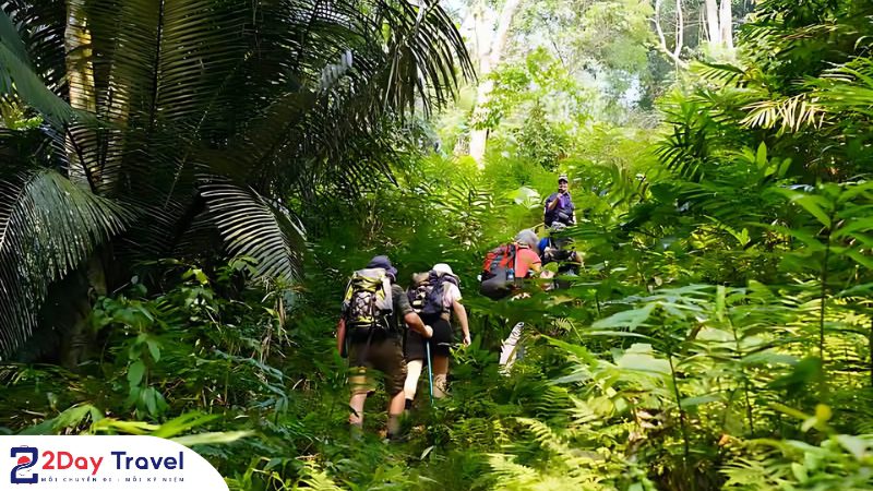 Trekking xuyên rừng