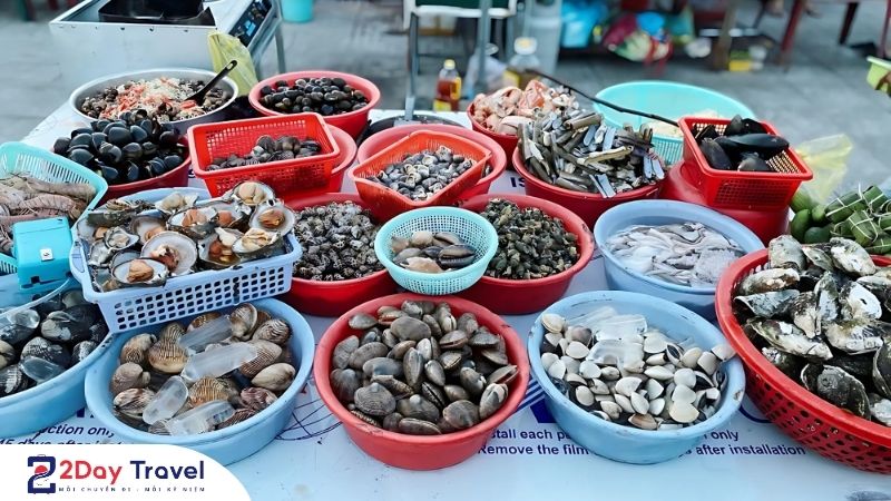Đừng Bỏ Lỡ: Nha Trang ăn ốc ở đâu Ngon – Rẻ – Sạch Nhất?