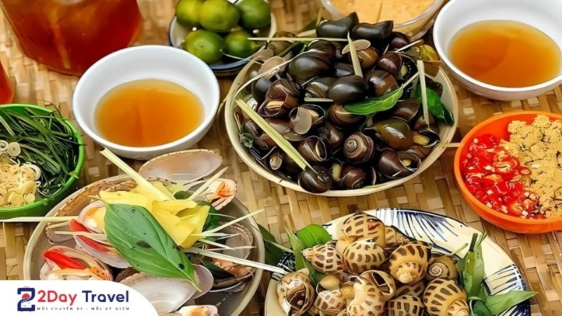 Đừng Bỏ Lỡ: Nha Trang ăn ốc ở đâu Ngon – Rẻ – Sạch Nhất?