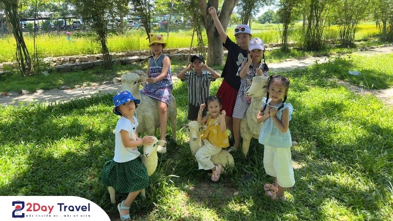 “Tour Đồng Cừu Ninh Thuận dành cho gia đình có trẻ nhỏ: Trẻ thích mê, bố mẹ thảnh thơi!”