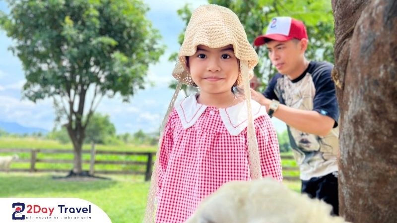 “Tour Đồng Cừu Ninh Thuận dành cho gia đình có trẻ nhỏ: Trẻ thích mê, bố mẹ thảnh thơi!”