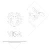 icon visa