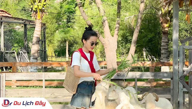 Du khách check in tại Đồng Cừu trong Tour Bình Hưng - Trong Ngày