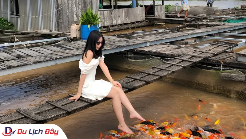 Du khách trải nghiệm dịch vụ "cá massage" tại Cồn Sơn trong Tour Chợ Nổi Cái Răng - Cần Thơ