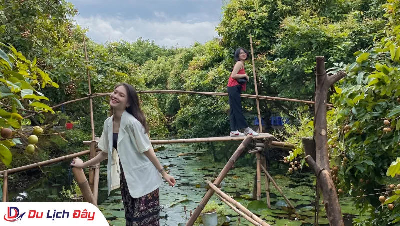 Du khách tạo dáng trên cầu tre giữa vườn trái cây trong Tour Chợ Nổi Cái Răng - Cần Thơ