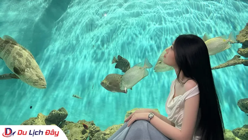 Du khách check in tại Viện Hải Dương Học trong Tour Đà Lạt - Nha Trang 2N1Đ