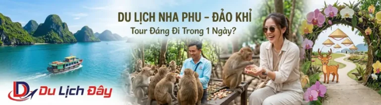 Tour Đảo Khỉ – Vịnh Nha Phu – Nha Trang: Có gì đáng đi trong 1 ngày?