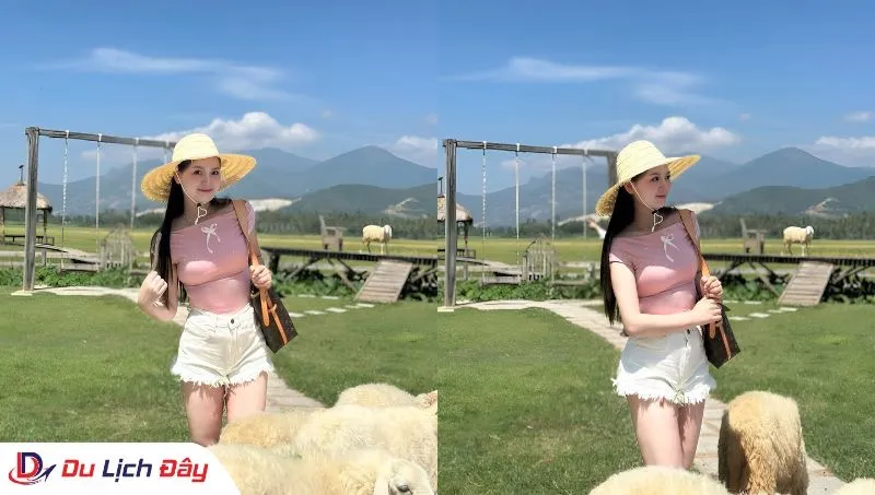 Du khách check in cùng đàn cừu tại Đồng Cừu trong Tour Đồng Cừu - NInh Thuận