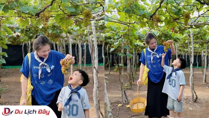 Du khách chụp hình tại Vườn Nho trong Tour Đồng Cừu - NInh Thuận