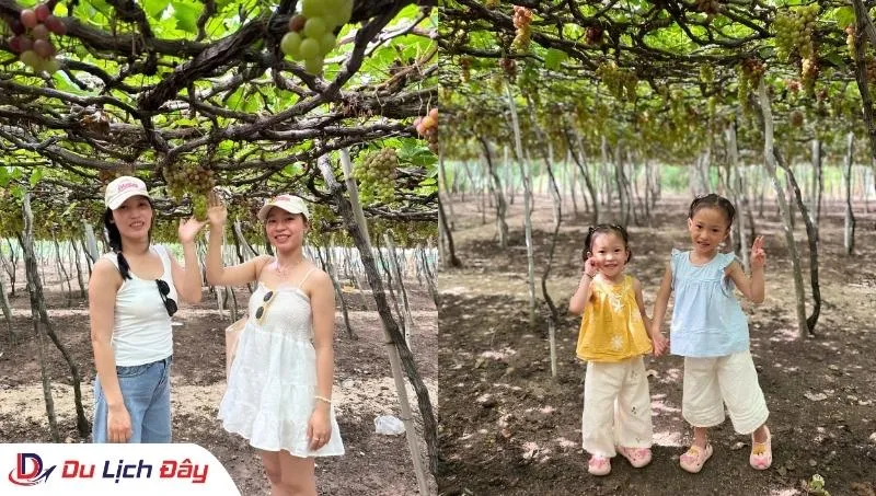 Du khách chụp hình tại Vườn Nho trong Tour Đồng Cừu - NInh Thuận