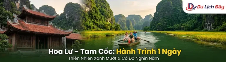 Tour Hà Nội – Ninh Bình: Khám phá Tour Hoa Lư – Tam Cốc trong ngày (Kèm giá tốt 2026)