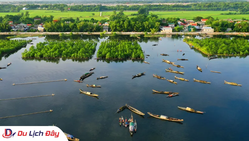 Toàn cảnh hệ sinh thái Phá Tam Giang nhìn từ trên cao trong Tour Huế - Quảng Bình 3N2D