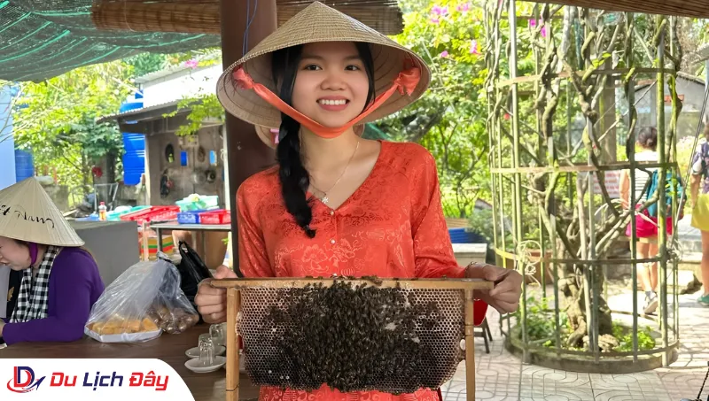 Trải nghiệm hoạt động tham quan trại nuôi ong lấy mật trong Tour khám phá Cù Lao Thới Sơn - Mỹ Tho