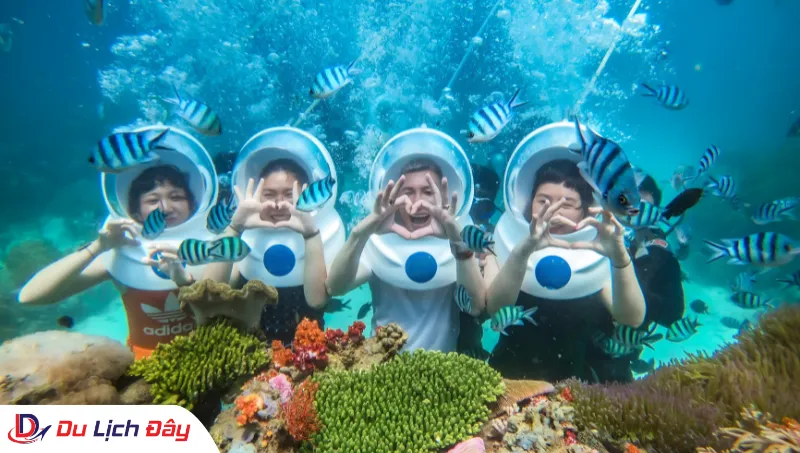 Du khách trải nghiệm lặn mũ phi hành gia cùng đàn cá trong Tour Lặn Biển Ngắm San Hô - Nha Trang