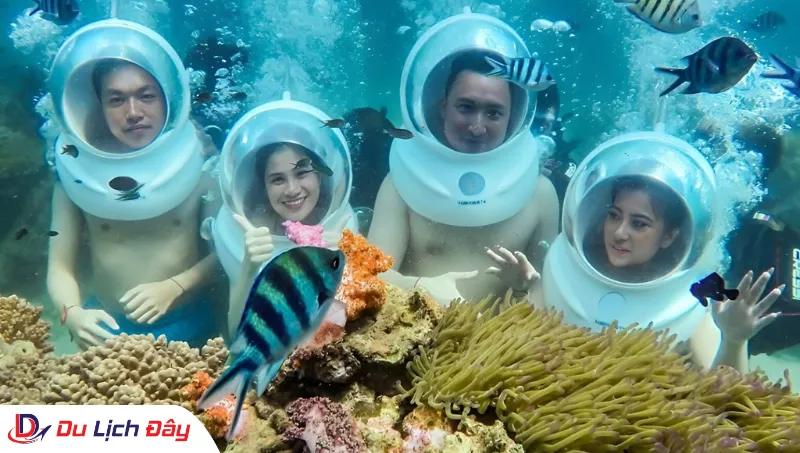 Nhóm du khách hào hứng khám phá rạn san hô trong Tour Lặn Biển Ngắm San Hô - Nha Trang