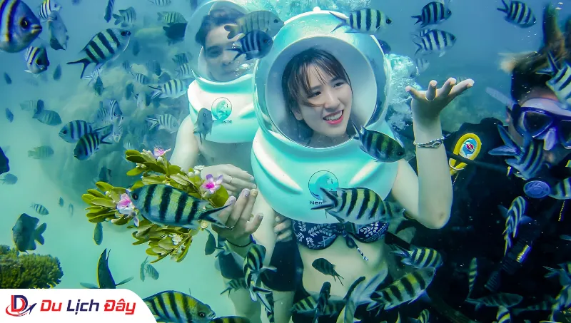 Du khách tương tác với đàn cá nhiệt đới trong Tour Lặn Biển Ngắm San Hô - Nha Trang