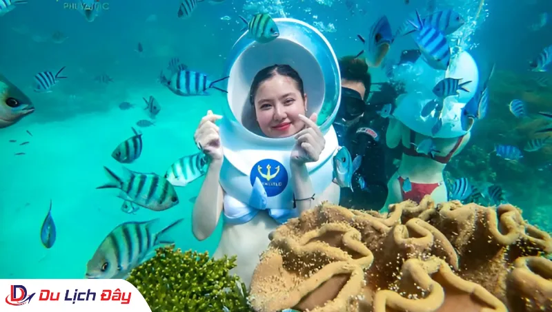 Du khách check-in cùng hệ sinh thái biển rực rỡ trong Tour Lặn Biển Ngắm San Hô - Nha Trang