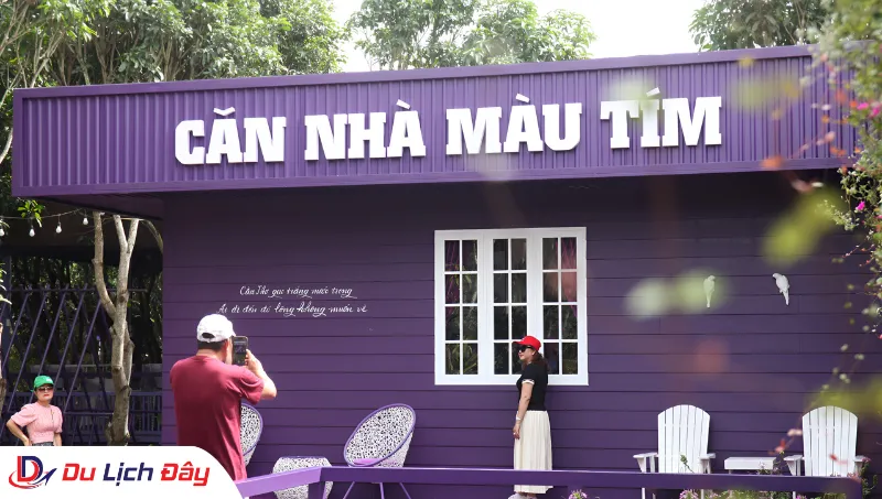 Check-in Căn Nhà Màu Tím trong Tour Miền Tây 2N1Đ