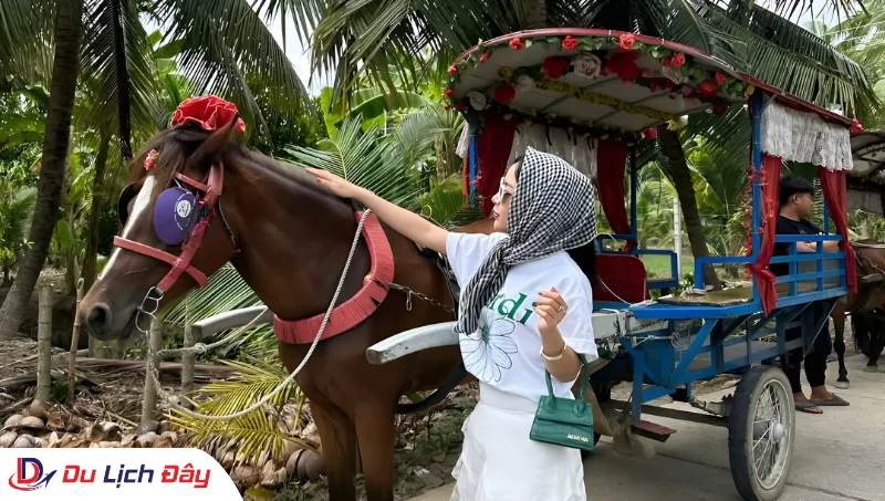 Dạo vườn trái cây bằng xe ngựa trong Tour Miền Tây 2N1Đ