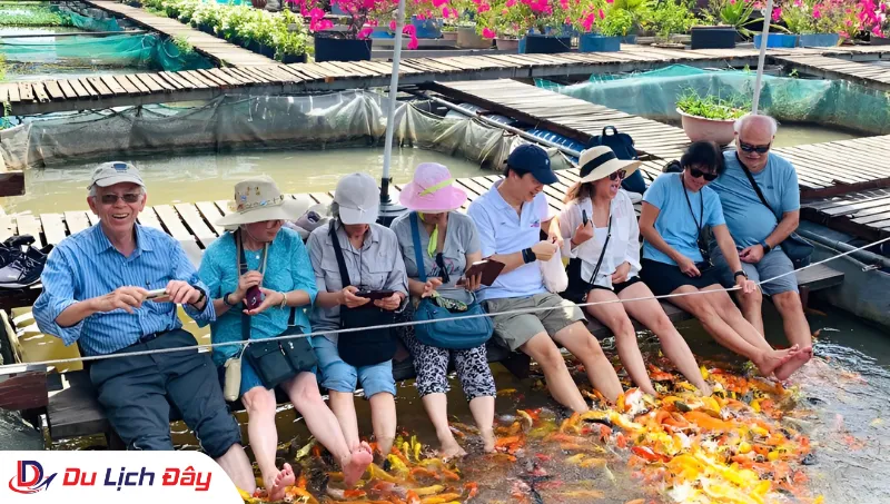 Thư giãn mát-xa cá trong Tour Miền Tây 2N1Đ