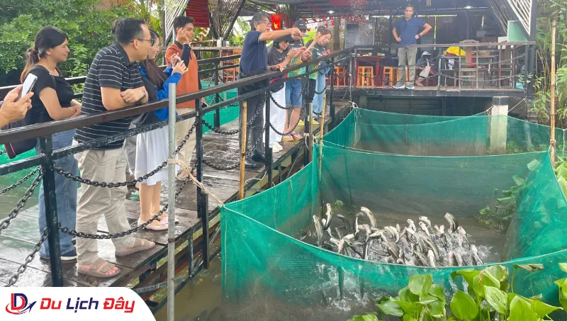 Du khách xem màn trình diễn cá lóc bay trong Tour Miền Tây 2N1Đ