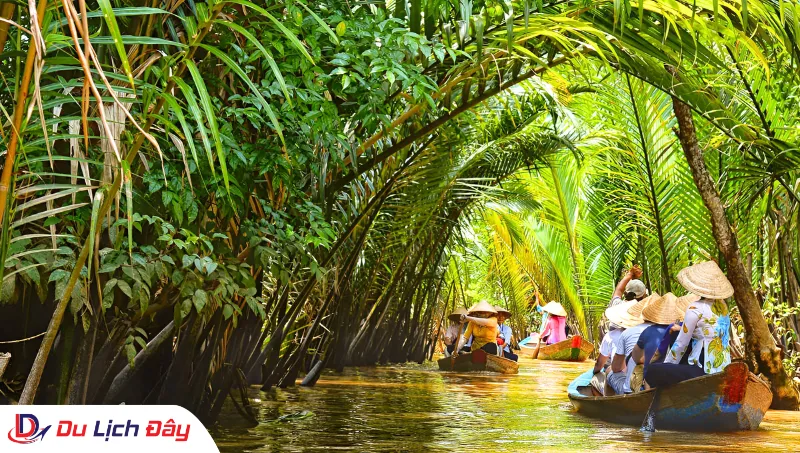 Trải nghiệm chèo xuồng ba lá len lỏi qua rạch dừa nước trong Tour Miền Tây 4N3Đ