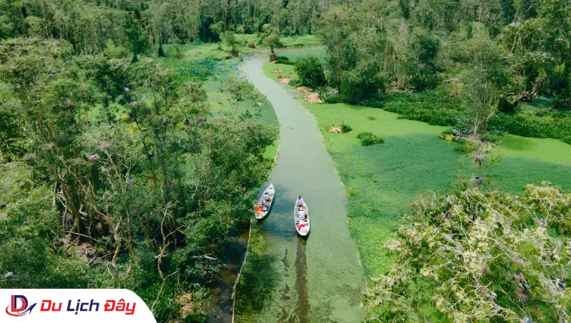 Toàn cảnh rừng tràm Trà Sư xanh mướt từ trên cao trong Tour Miền Tây 4N3Đ
