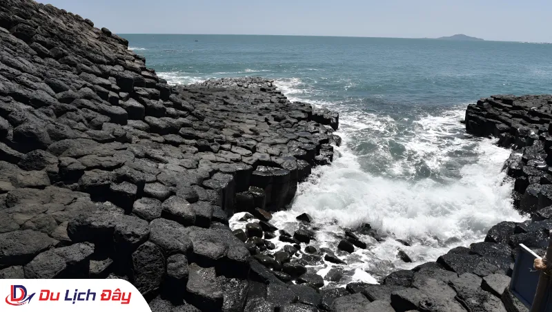 Cận cảnh những cột đá bazan kỳ vĩ tại Gành Đá Đĩa trong Tour Nha Trang - Phú Yên 2N1Đ