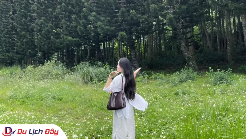 Hòa mình vào thiên nhiên xanh mát tại Cao nguyên Vân Hòa trong Tour Nha Trang - Phú Yên 2N1Đ