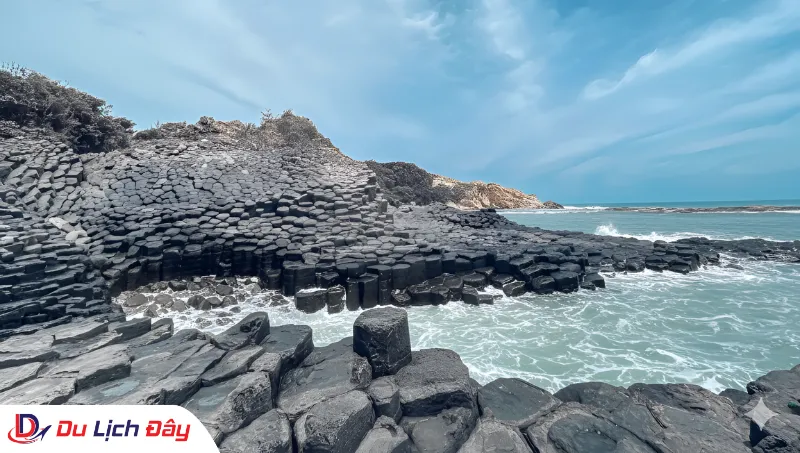 Khám phá Ghềnh Đá Đĩa trong Tour Nha Trang - Quy Nhơn - Phú Yên - 2N1Đ