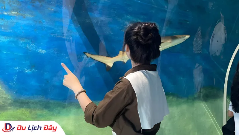 Du khách check in tại Viện Hải Dương Học trong Tour Ninh Thuận - Nha Trang 2N1Đ