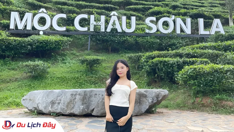 Check-in đồi chè Mộc Châu trong Tour Tây Bắc 5N4D