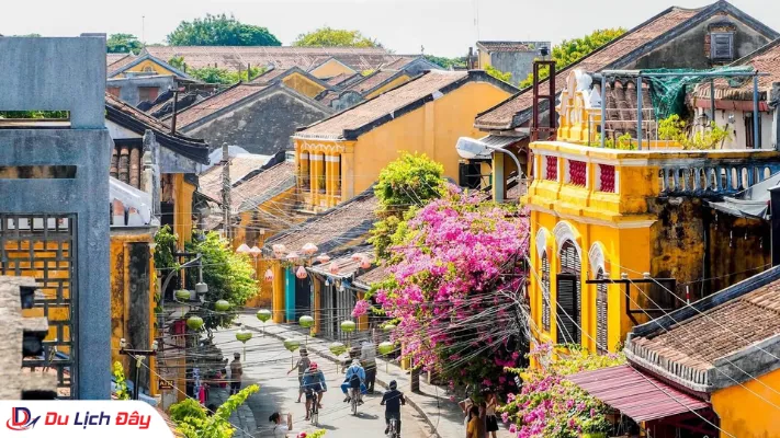 Dãy nhà cổ tường vàng mái ngói rêu phong và hoa giấy rực rỡ tại phố cổ Hội An