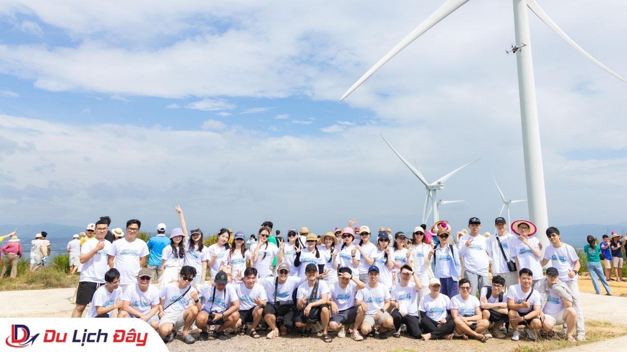 Team Building & Gala Dinner Tại Quy Nhơn | Tháng 07/2026 - teambuilding dulichday 2026 – event teambuilding dulichdaytravel